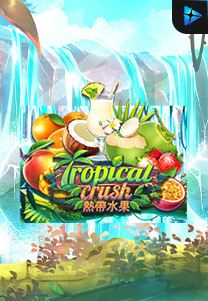 Bocoran RTP Tropical Crush di Situs Ajakslot Generator RTP Resmi dan Terakurat